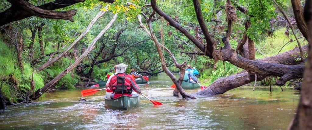 Bordeaux Expats - Canoeing