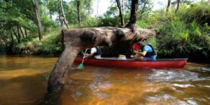 Bordeaux Expats - Canoe