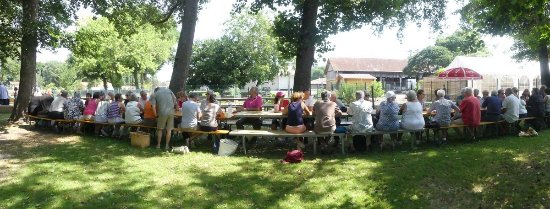 Bordeaux Expats - Picnic